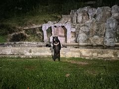 -清迈夜间动物园