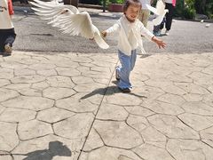 -燕塞湖鸟语林景区