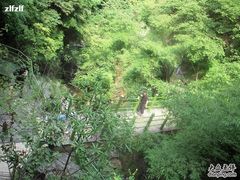-山沟沟景区