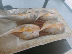 -火焱山烤肉·齐齐哈尔烤肉(朝阳店)