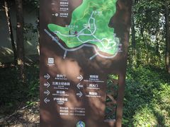 -上海佘山国家森林公园天马山园