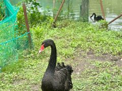 -华东政法大学(松江校区)