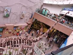 -陕西自然博物馆