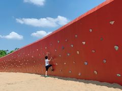 -春花秋色城市公园