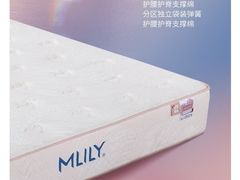 -红星美凯龙(上海沪南店)
