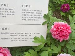 -太阳宫公园
