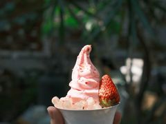-北马山庄植趣咖啡