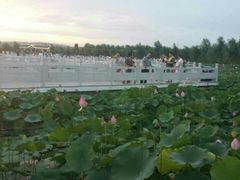 android_upload_pic-灵山莲花公园-温泉度假区