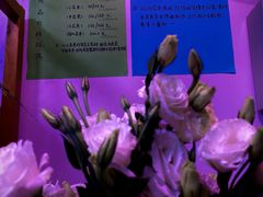 -一花一忆(松榆里市场店)