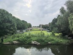 -溱湖国家湿地公园