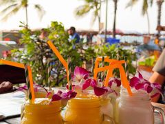 -Green Tree Rest. & Pub