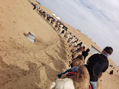 -银肯塔拉沙漠生态旅游景区