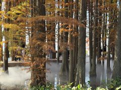 -东湖落雁景区