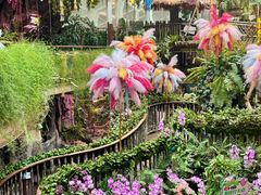 -正佳雨林生态植物园