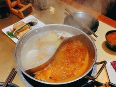 -手选潮汕鲜牛肉火锅(二七广场店)
