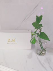 点击看大图 -玫莉蔻皮肤管理中心