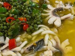 -三猫黑鱼花(南大店)