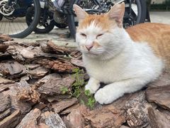 -华东政法大学(松江校区)