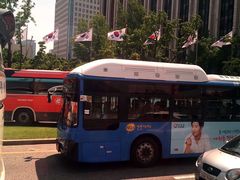 -新世界百货(明洞总店)