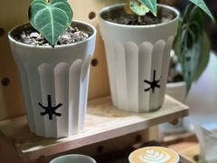 -本無咖啡·BeanWood Coffee