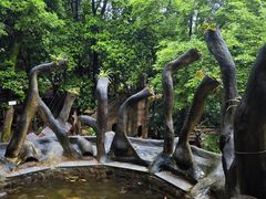 -天门沟九州驿站树上汤泉