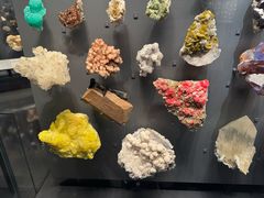 -美国自然历史博物馆