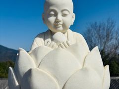 -庐山风景名胜区-东林大佛