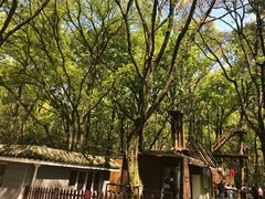 -WeLope紫金山探险公园