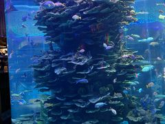 -泉城欧乐堡海洋极地世界