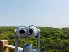 -北海金海湾红树林生态旅游区