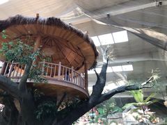 -南宫五洲植物乐园