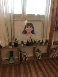 -绿皮火车照相馆 婚纱照旅拍(厦门店)