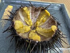 -海胆小馆(东北水饺·春柳店)