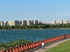 -丁香湖公园