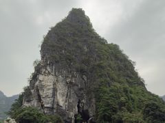 -银峰农庄·特色烧鸡·鲜无花果浸鸡