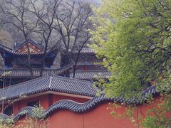 -太平万花山景区