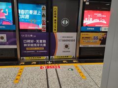 -奥体中心(地铁站)