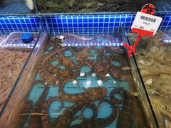 -必点海鲜·鲅鱼水饺(鞍山西道店)