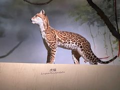 -长江文明馆