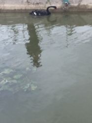 -水八仙生态园