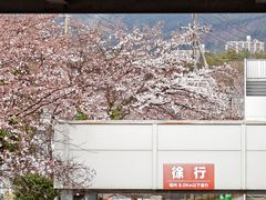 -沼津魚がし鮨(御殿場アウトレット店)