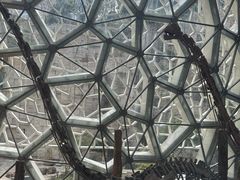 -自然谷恐龙园