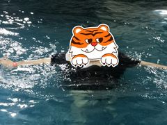 -海河假日酒店·游泳馆