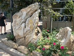 -北京大学口腔医院(魏公村总院)