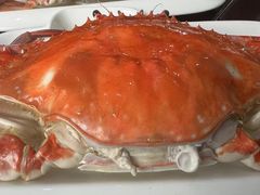 -大明府膳食坊