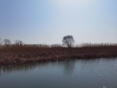 -苏州太湖湖滨国家湿地公园