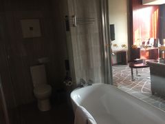 -常州环球恐龙城维景国际大酒店