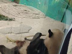 -杭州野生动物世界