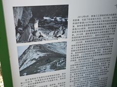 -青藏高原野生动物园