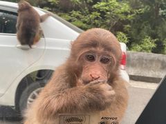 -西岭雪山大飞水景区